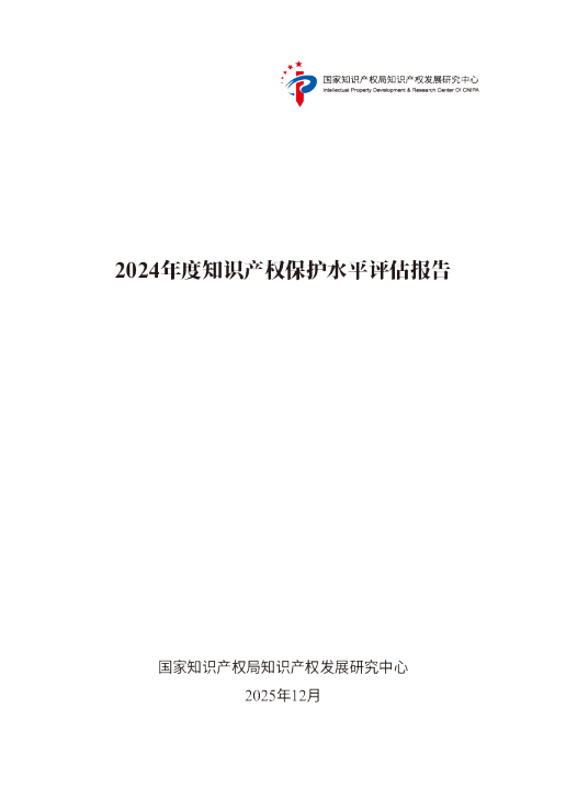2024年度知识产权保护水平评估报告