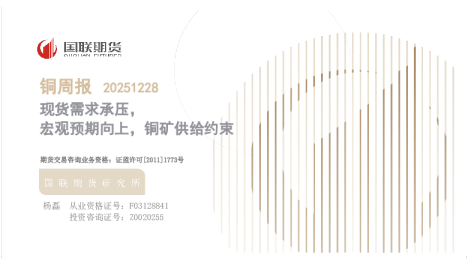 现货需求承压，宏观预期向上，铜矿供给约束：铜周报20251228