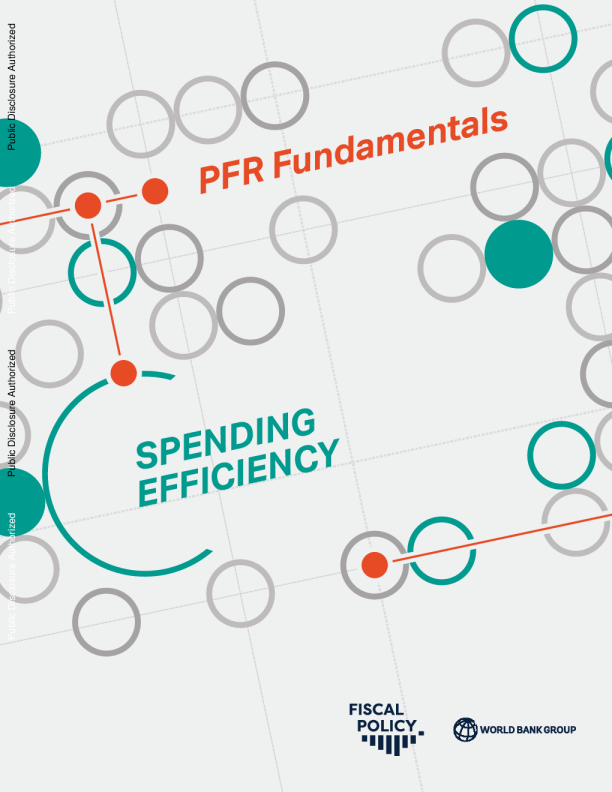 PFR基础：支出效率分析（英）2025