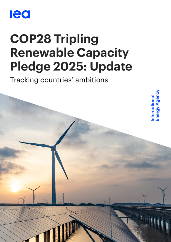 cop28 2025年可再生能源承诺增加两倍：更新（英）2025