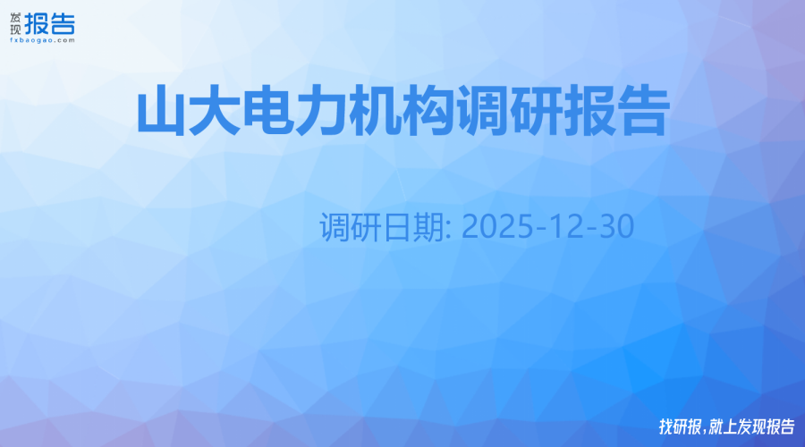 山大电力机构调研纪要