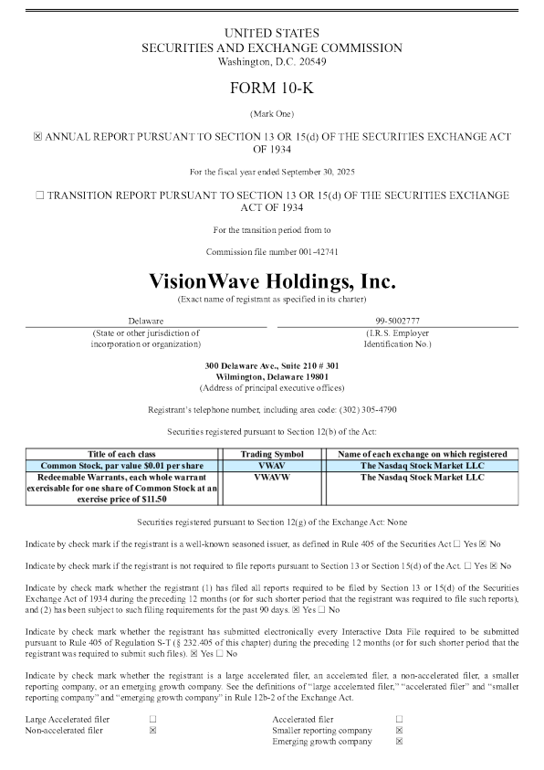 VisionWave Holdings Inc 2024年度报告