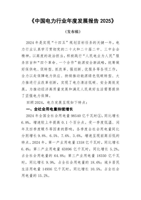 中国电力行业年度发展报告 2025：发布稿