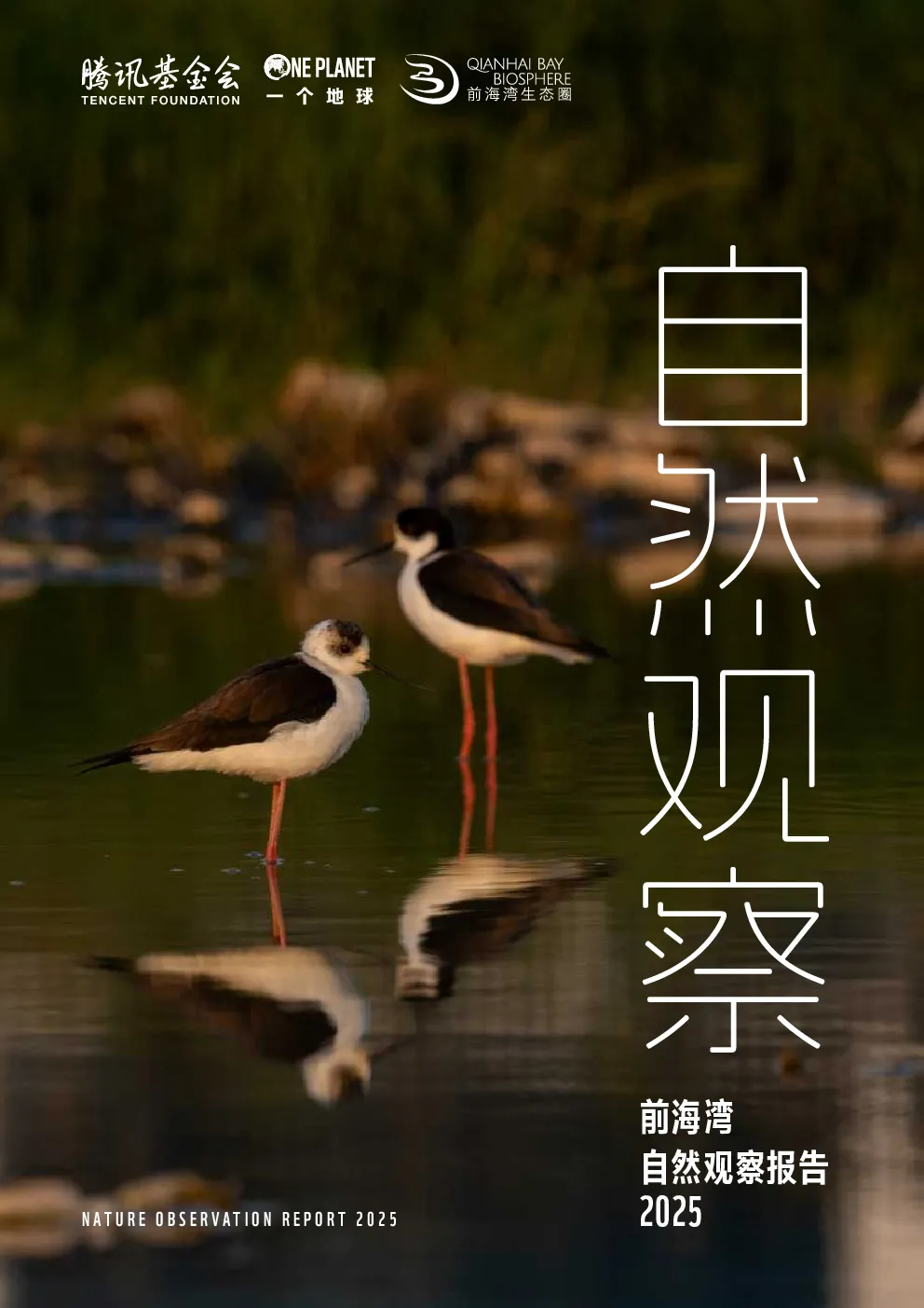 前海湾自然观察报告2025