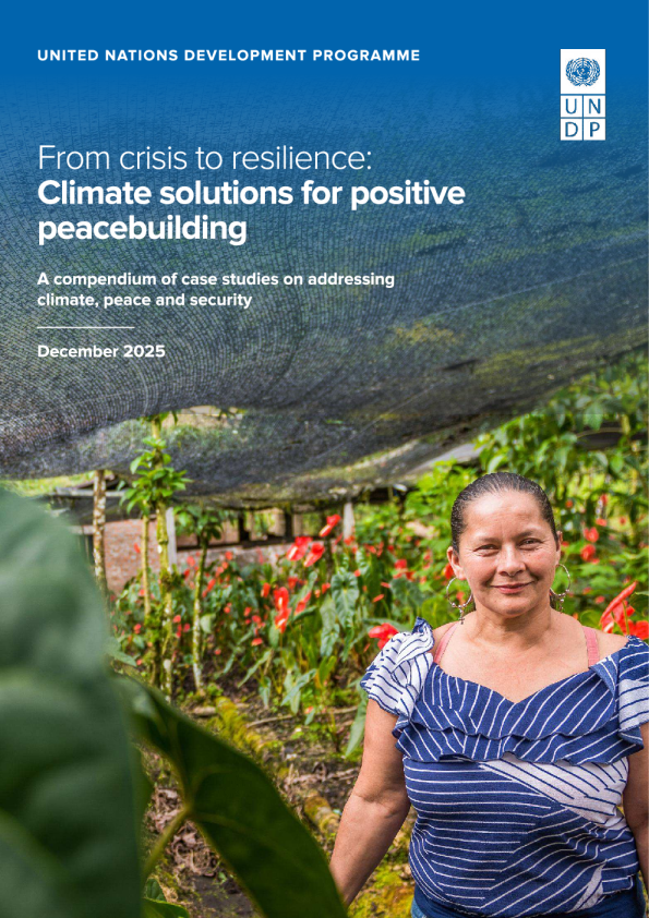 从危机到复原力：积极建设和平的气候解决方案（英） 