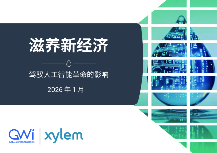 滋养新经济：驾驭人工智能革命的影响