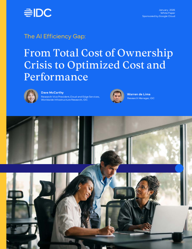 人工智能效率鸿沟：从总体拥有成本危机到成本与性能优化