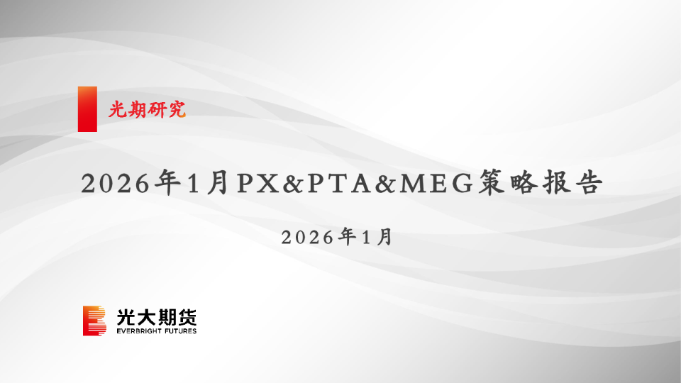 2026年1月PX&PTA&MEG策略报告
