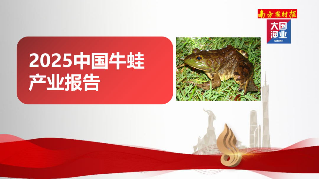 大国渔业：2025年中国牛蛙产业报告