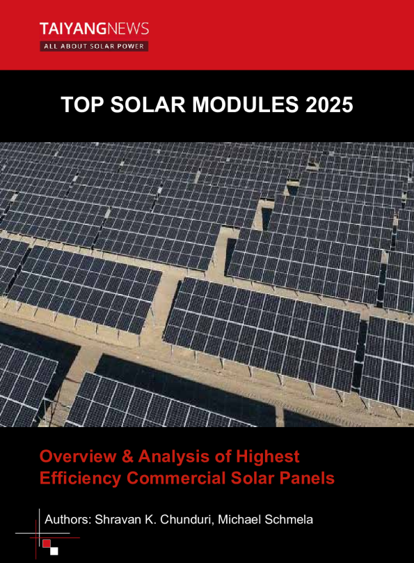 2025年顶级太阳能组件：最高效率商用太阳能电池板的概述与分析