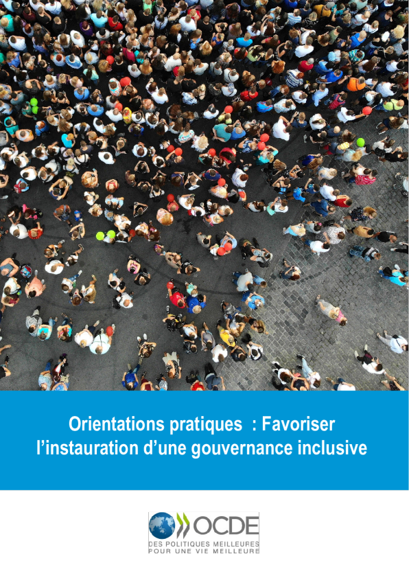 实践导向：支持建立包容性的政府