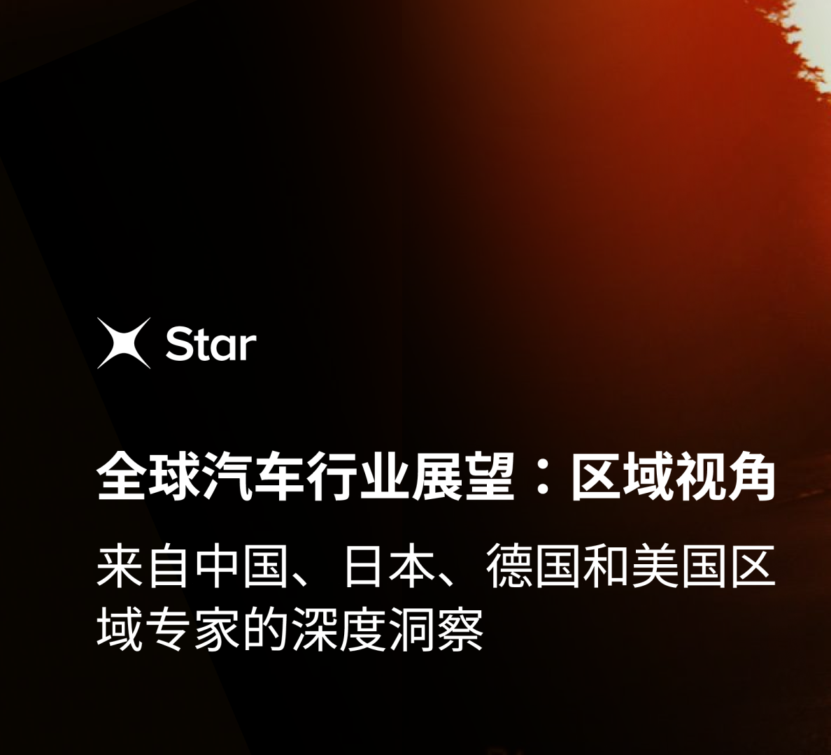 全球汽车行业展望:区域视角