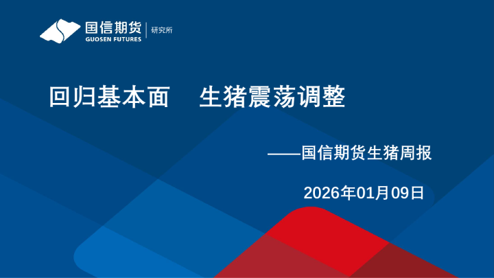 国信期货生猪周报：回归基本面，生猪震荡调整