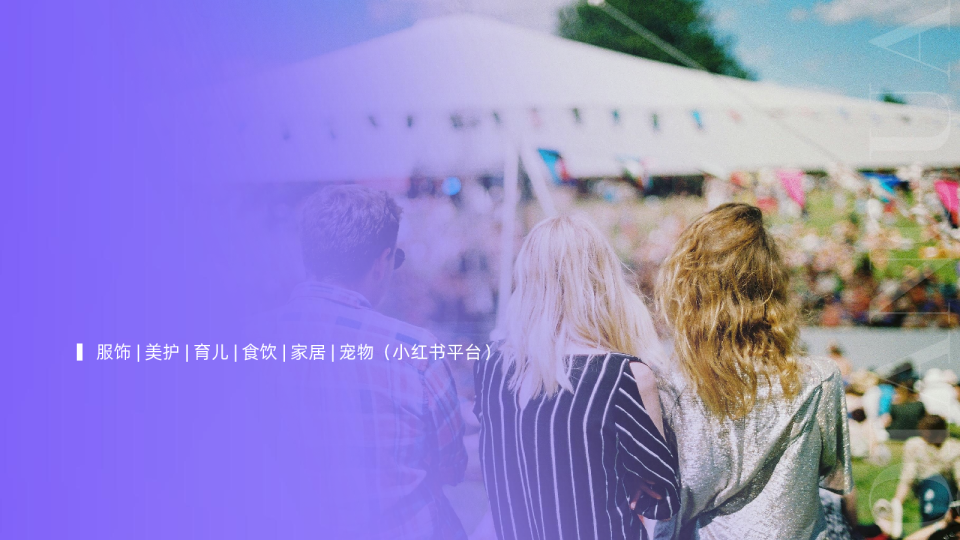 2025年度热门行业数据简报