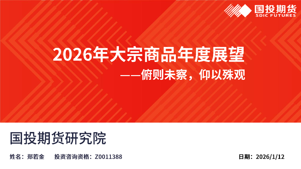 俯则未察，仰以殊观：2026年大宗商品年度展望
