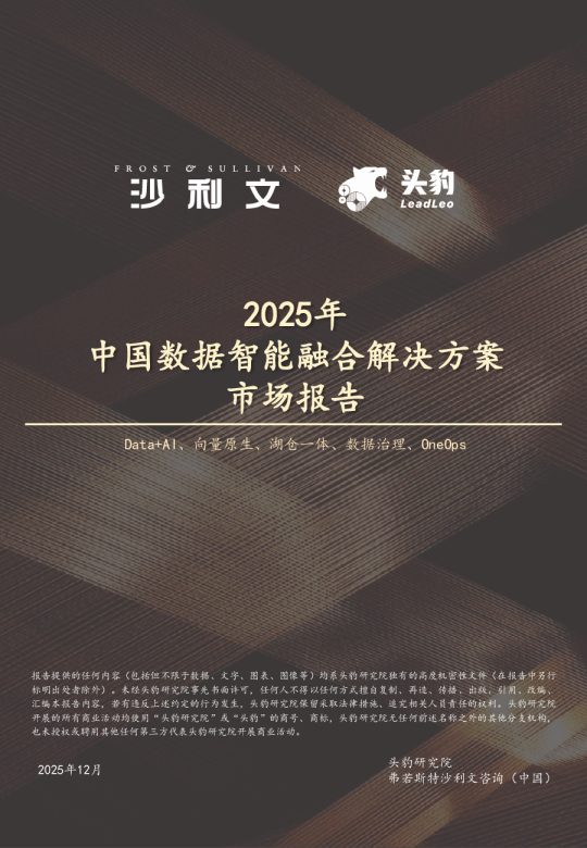 2025年中国数据智能融合解决方案市场报告
