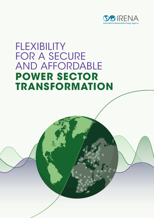 实现安全且经济实惠的电力行业转型的灵活性（英）2026