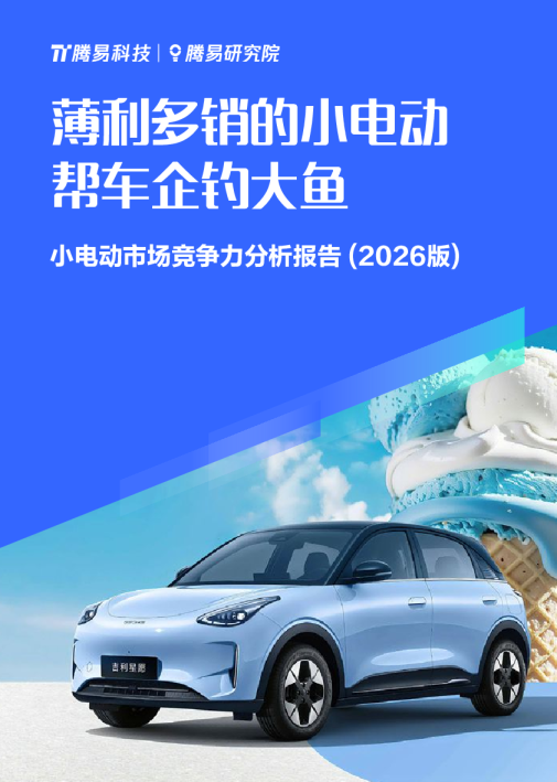 小电动市场竞争力分析报告 (2026版)