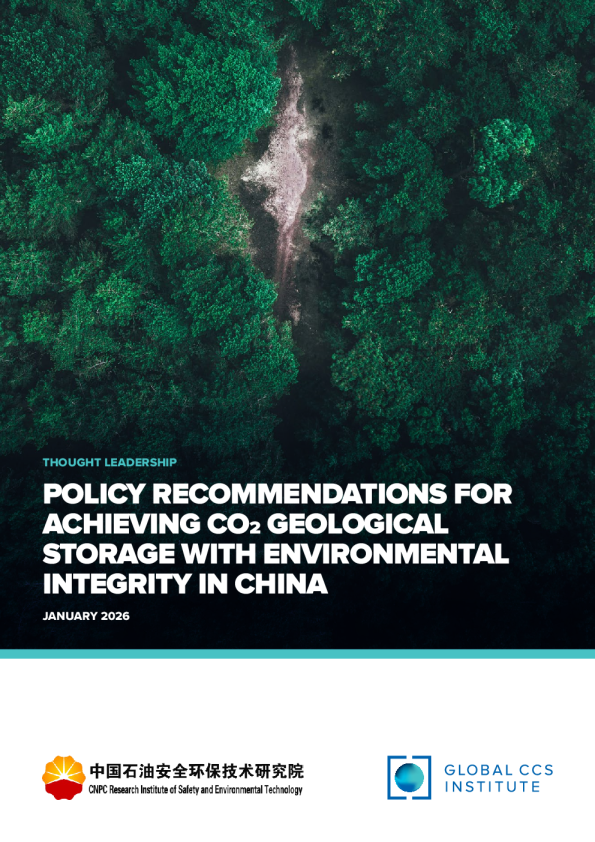 中国实现环境完整的二氧化碳地质封存的政策建议