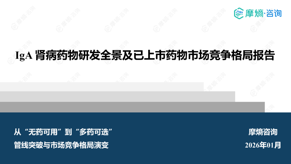 IgA 肾病药物研发全景及已上市药物市场竞争格局报告