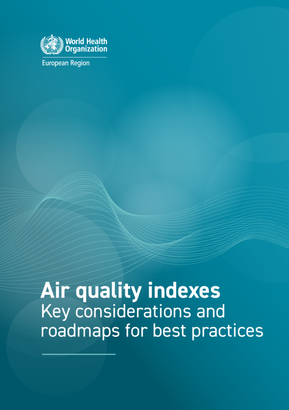 空气质量指数：关键考量与最佳实践路线图