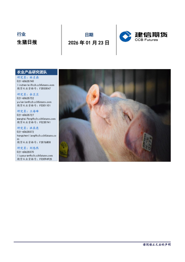 生猪日报