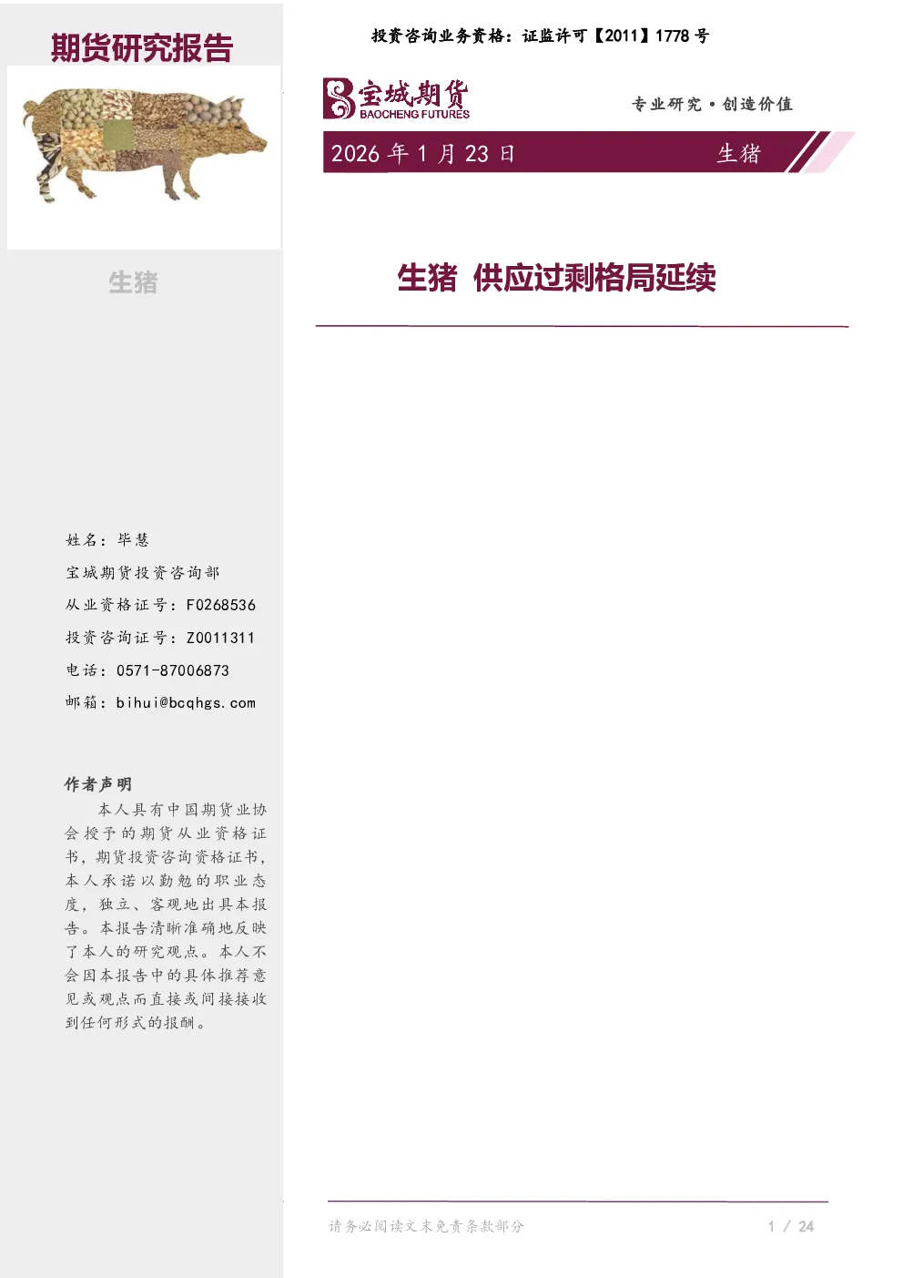 报告封面