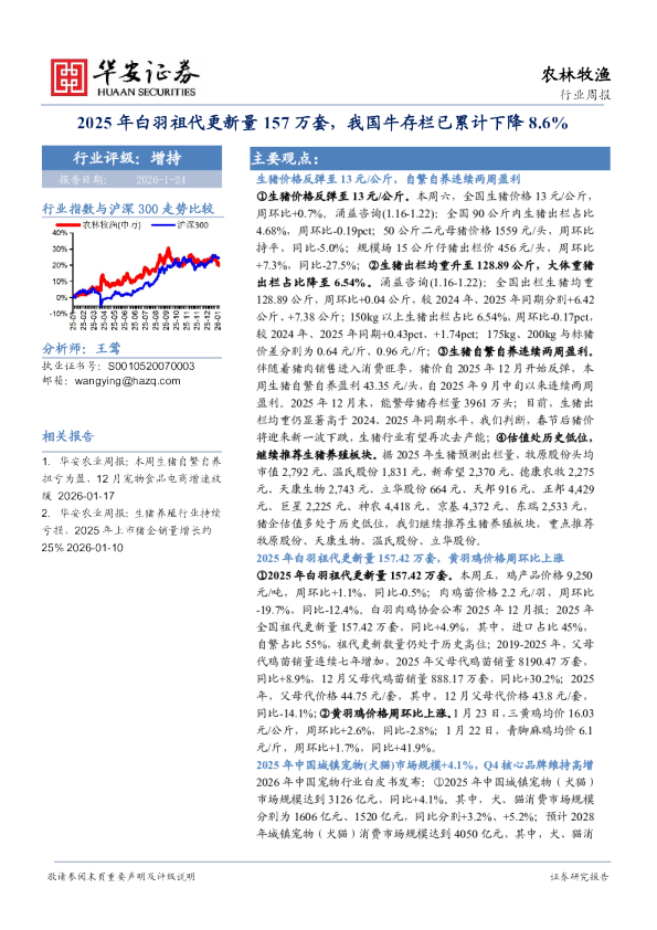 2025年白羽祖代更新量157万套，我国牛存栏已累计下降8.6%