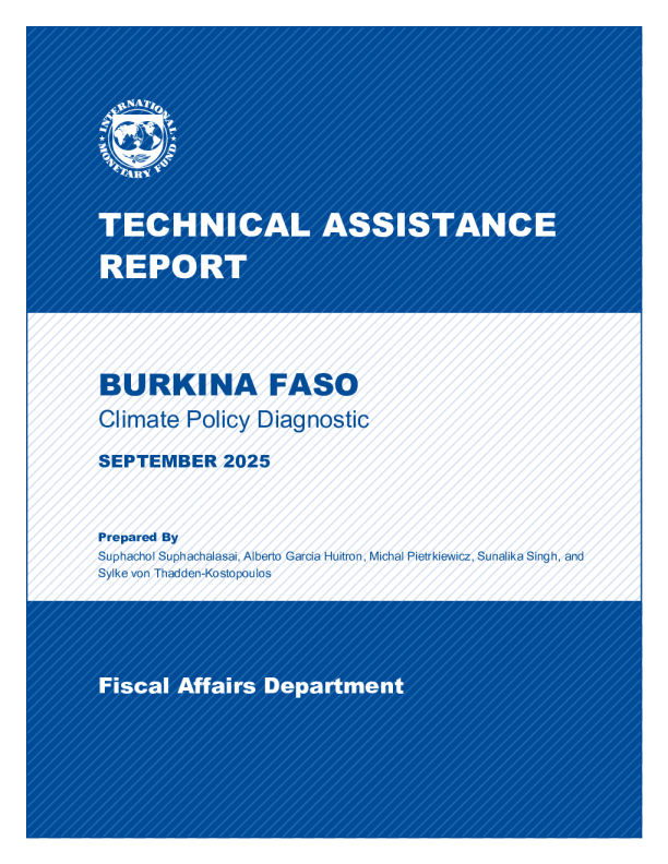 布基纳法索：气候政策诊断技术援助报告（英）