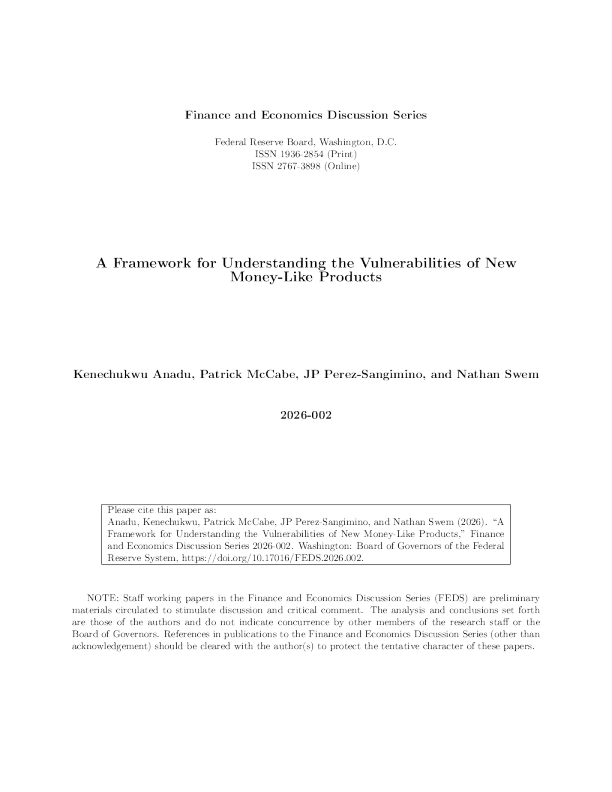 理解新型货币类产品脆弱性的框架