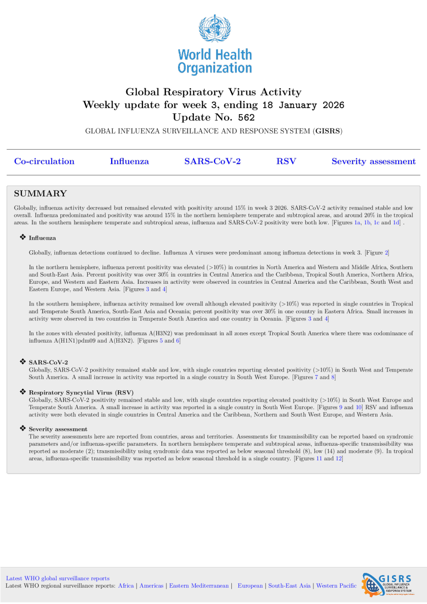 全球呼吸道病毒活动：每周更新N°562