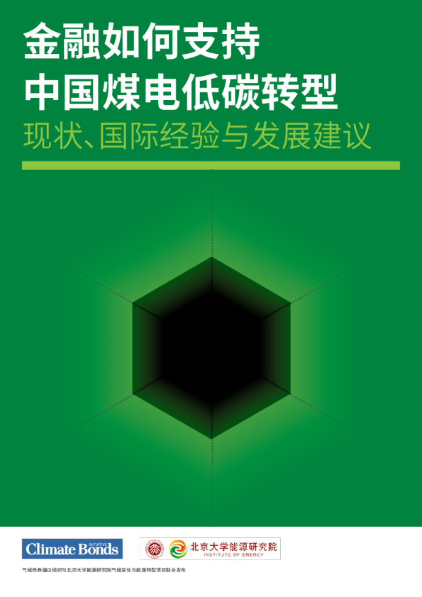 金融如何支持中国煤电低碳转型：现状、国际经验与发展建议