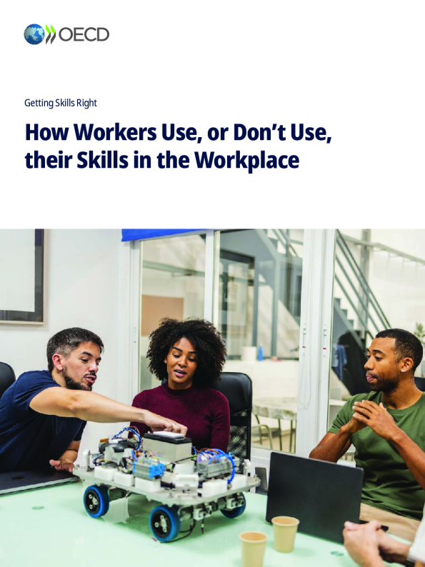 技能运用得当：职场中劳动者如何使用或不使用其技能