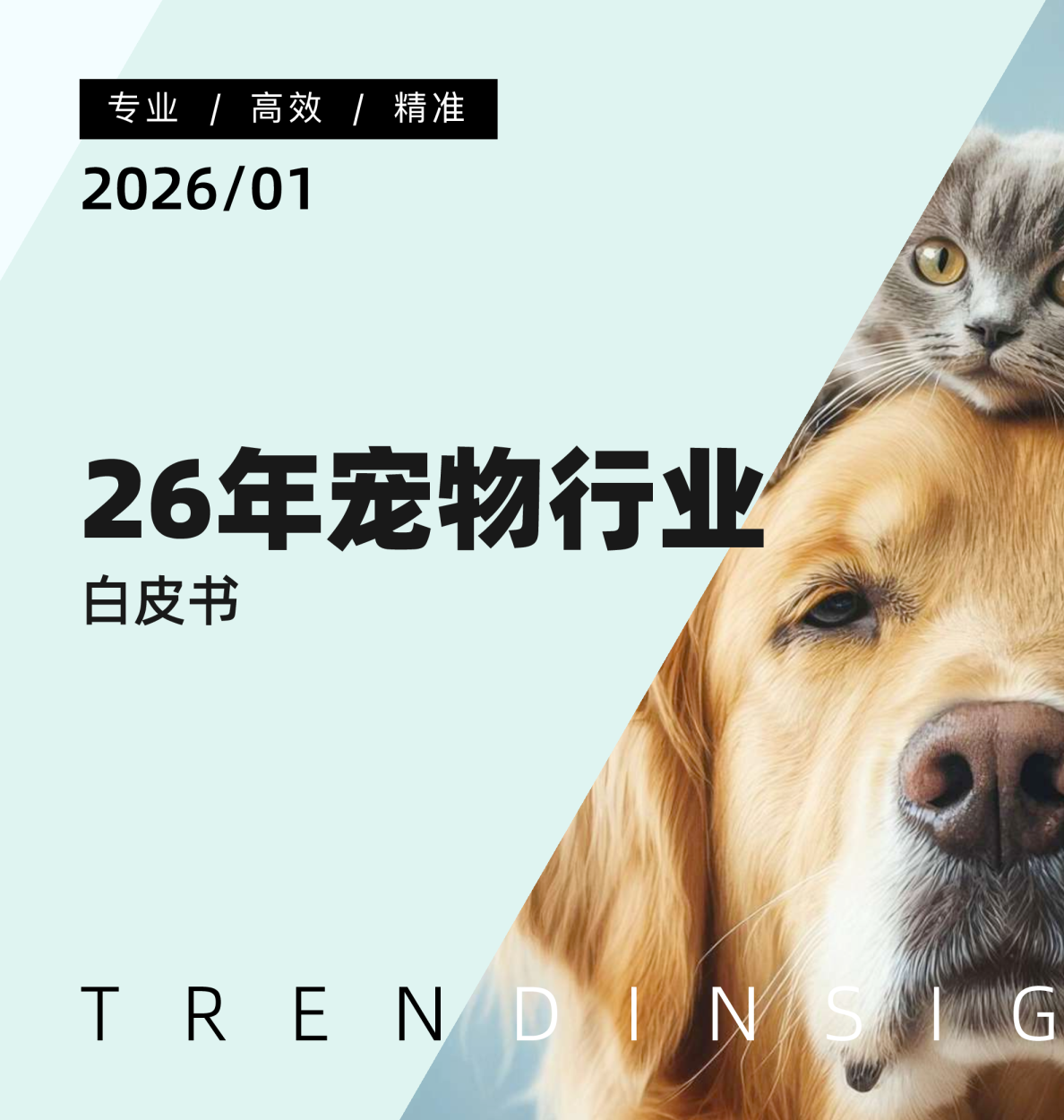 2026年宠物行业白皮书