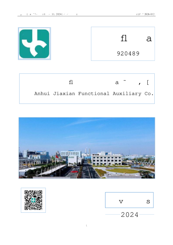 佳先股份：2024年年度报告（更正后）