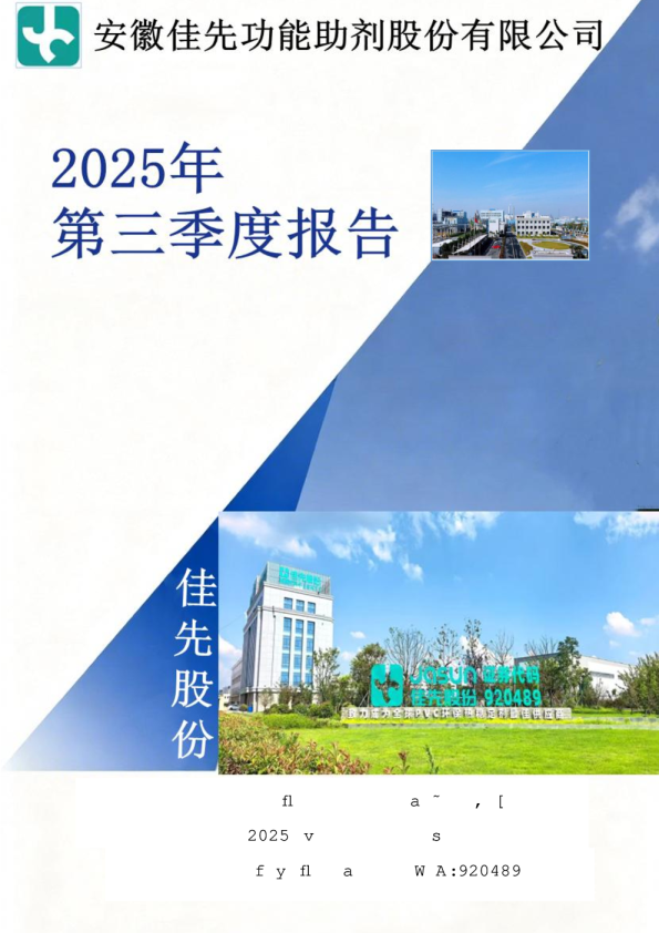 佳先股份：2025年三季度报告（更正后）