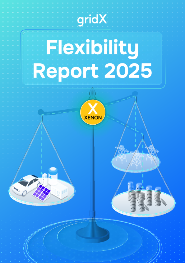 2025年能源灵活性研究报告（英文版）