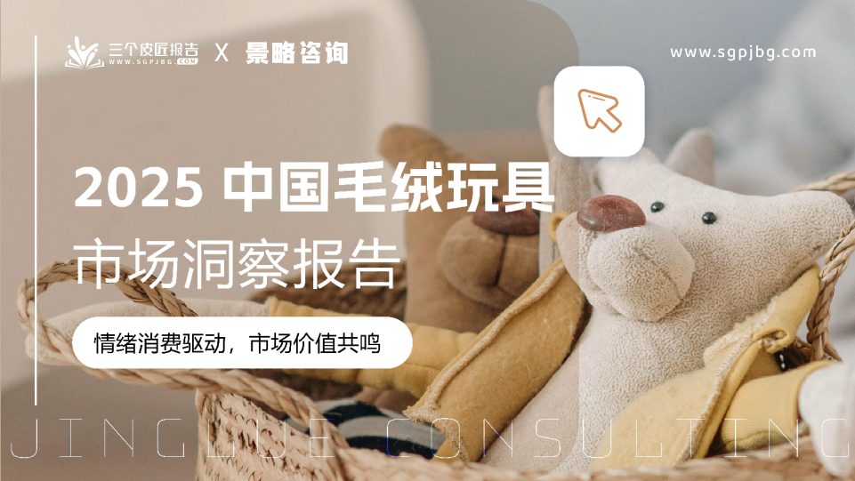 2025中国毛绒玩具市场洞察报告