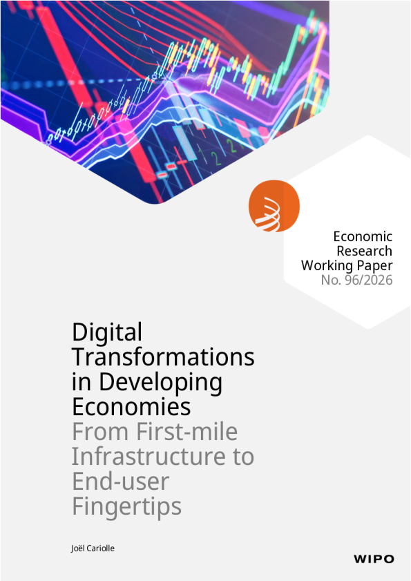 发展中经济体的数字化转型：从第一英里基础设施到终端用户的指尖