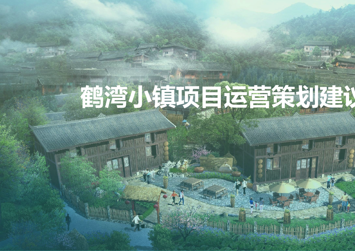 鹤湾小镇运营规划框架