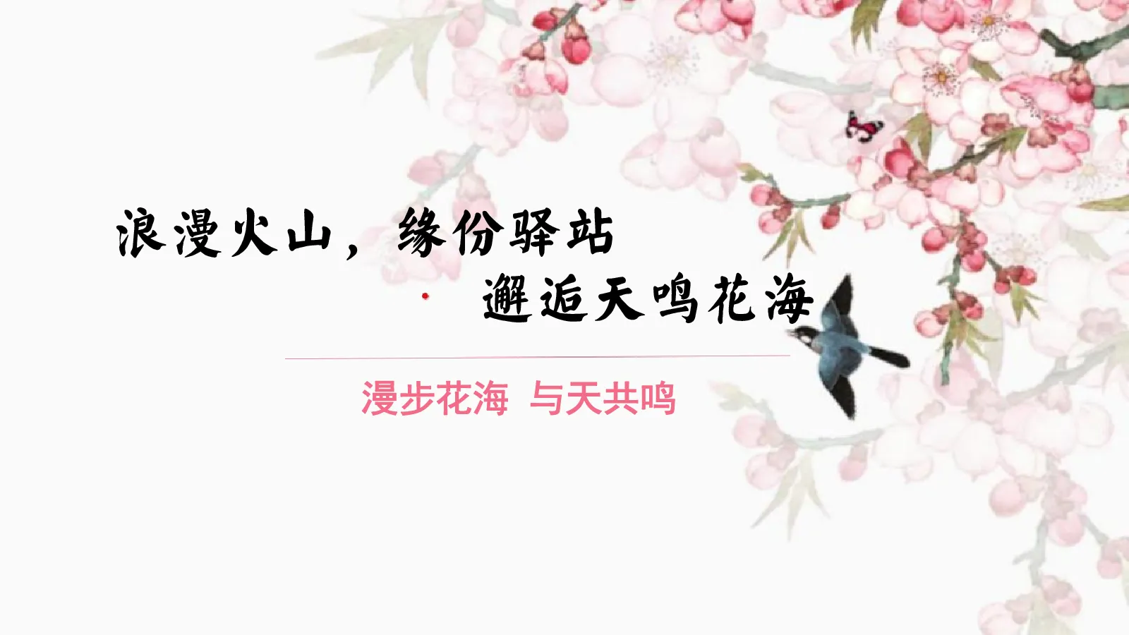 浪漫火山，缘份驿站，邂逅天鸣花海