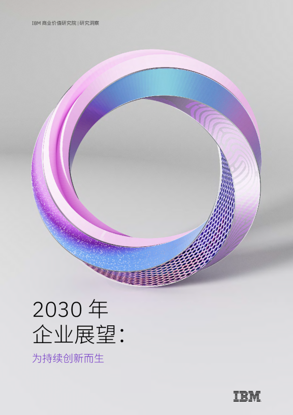 2030年企业展望：为持续创新而生