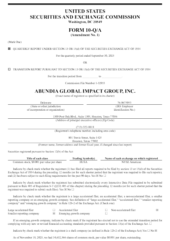 Abundia Global Impact Group Inc. 2026年季度报告