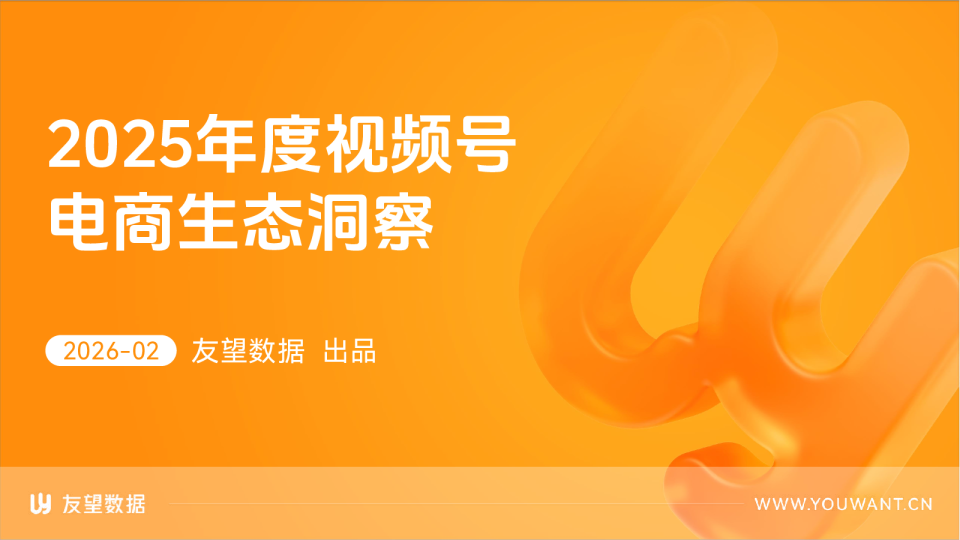 2025年度视频号电商生态洞察