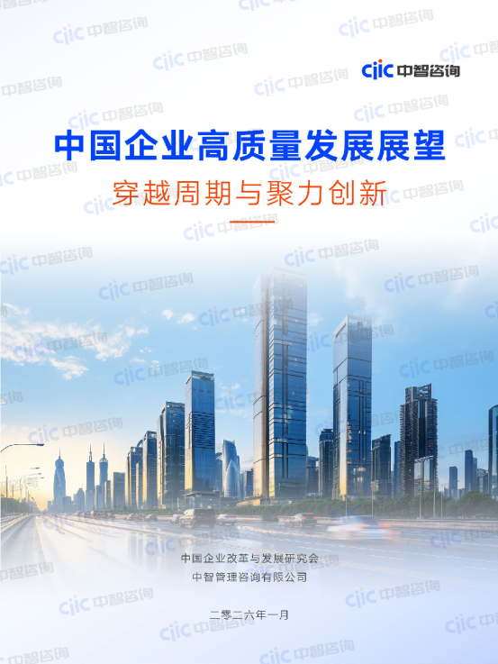 中国企业高质量发展展望