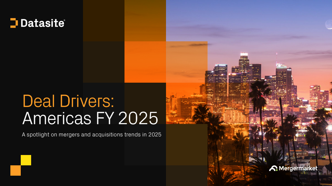 交易驱动因素：2025财年美洲