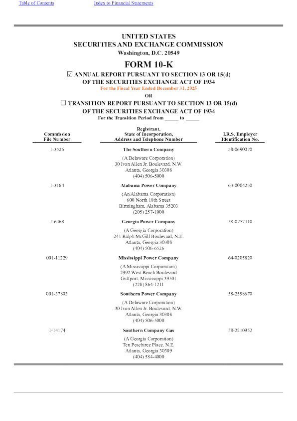 南方电力 2025年度报告