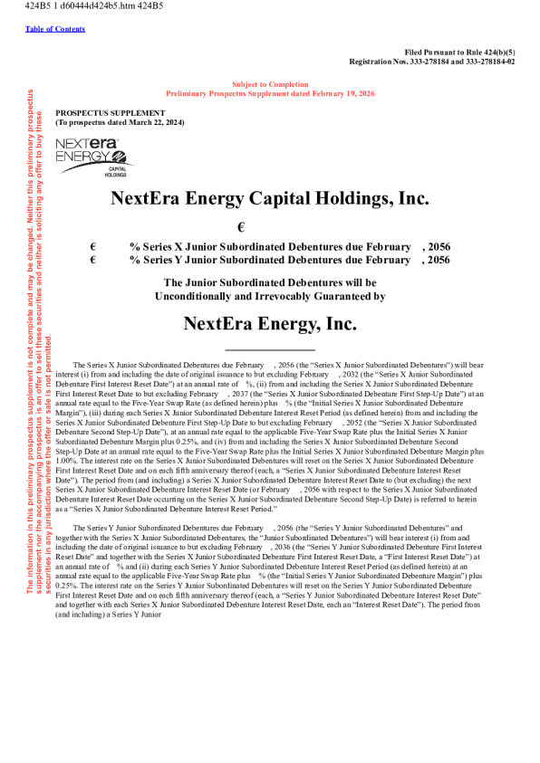 新纪元能源美股招股说明书(2026-02-19版)