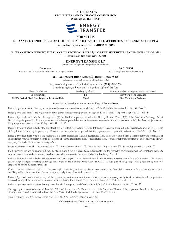 能源转换 2025年度报告