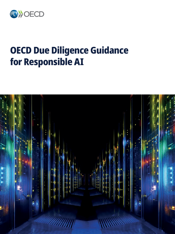 经合组织负责任人工智能尽职调查指南